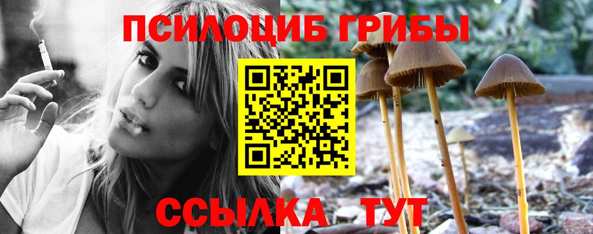 Галлюциногенные грибы прущие грибы  Вход с VPN  закладка  Полевской  Галлюциногенные грибы мухоморы 
