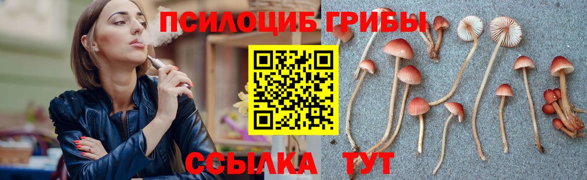 Галлюциногенные грибы ЛСД Полевской